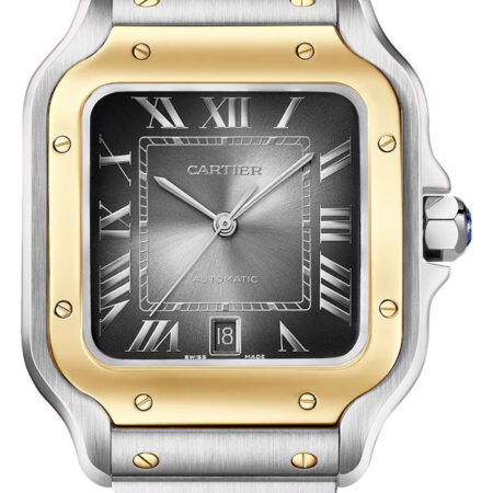 Cartier Santos de Cartier Stainless Steel & 18K Yellow Gold Men's Watch