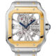 Cartier Santos De Cartier Skeleton Stainless steel & 18K Yellow Gold Men's Watch