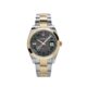 Rolex Datejust 126303 'Wimbledon' Yellow Gold Stainless Steel Slate Dial (2021)