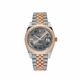 Rolex Datejust 126331 Rose Gold Stainless Steel Wimbledon Dial Jubilee