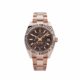 Rolex Sky-Dweller 326935 Rose Gold Chocolate Dial Oyster