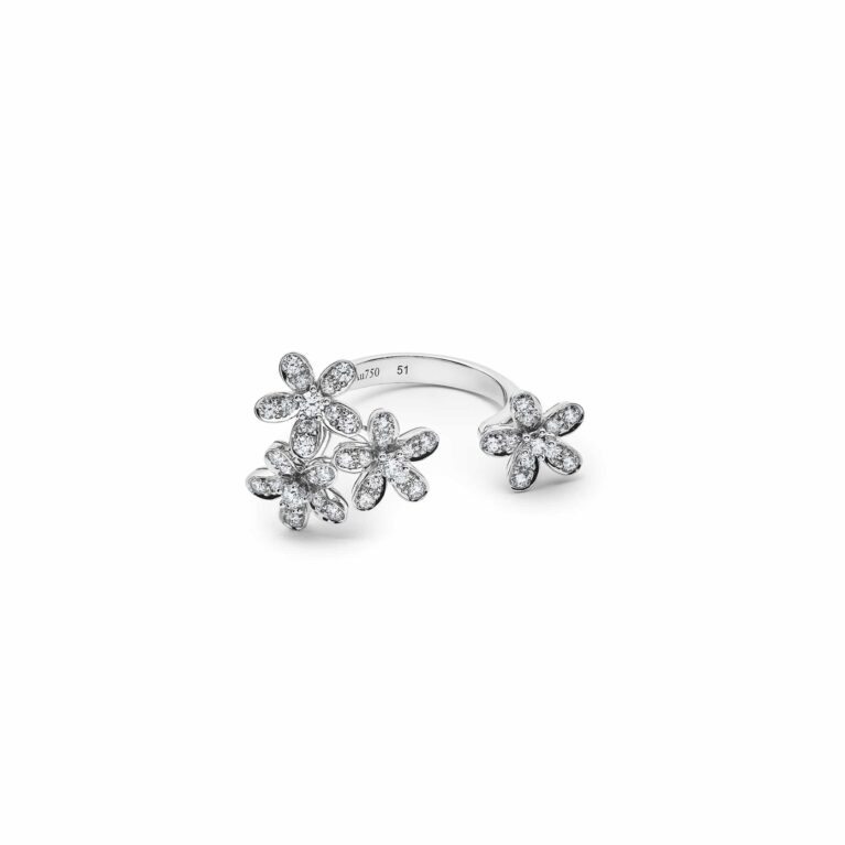 Van Cleef & Arpels Socrate Between the Finger Ring